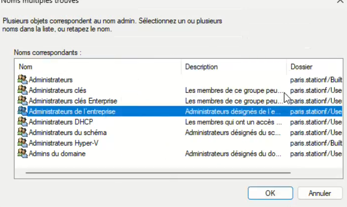 Fenêtre Noms multiples trouvés