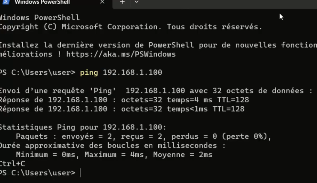 Test Ping vers le serveur